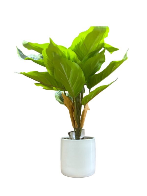 Home Decor Modern Style Artificial Plastic Plants